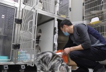 家有宠物猫，关注这几种常见病！（宠物猫生病的原因和预防方法）
