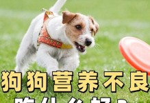 吃狗对身体的危害（狗肉食用的健康隐患及相关风险）
