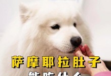 以萨摩耶一月后的饮食指南（以萨摩耶的健康饮食计划及营养需求解析）