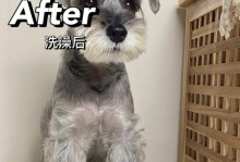 为什么不能给狗狗频繁洗澡？（探究狗狗频繁洗澡的危害与正确的洗澡频率）