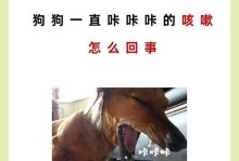 应对狗狗咳嗽的问题（教你如何帮助狗狗止咳）