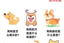 以狗狗测体温需要多久？（狗狗体温测量方法及注意事项）