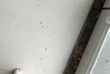 柯基的肚子是什么样的？（揭开柯基肚子的秘密）