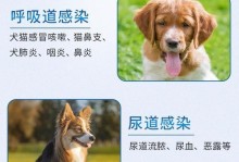 治疗狗感冒流涕的关键针剂（为你的爱犬提供最佳的治疗方案）