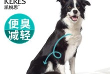 边牧肠胃护理指南（关爱你的边牧，从肠胃开始）