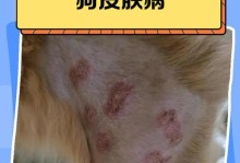 宠物皮肤病大揭秘（揭秘宠物皮肤病的种类、症状和治疗方法）