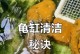 养草龟水多久换一次？解答草龟水换水的频率（草龟水换水频率的重要性及相关注意事项）