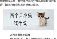 三个月大的猫咪应该吃什么？（为你的小猫提供适当的饮食，让它健康成长）