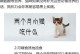 三个月大的猫咪应该吃什么？（为你的小猫提供适当的饮食，让它健康成长）