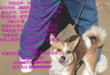 如何正确合理地安排与宠物狗的相处时间？（让我们一起了解宠物狗所需的时间投入和注意事项）