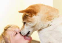 狗狗舔舐的意义和行为解读（探秘狗狗舔舐行为的心理背后）