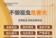 如何有效清除狗狗身上的跳蚤（选择适合狗狗的驱虫药，让跳蚤远离你的宠物）
