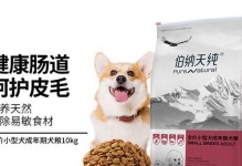 柯基奶狗的主要饮食是什么狗粮？（了解柯基奶狗的饮食需求，选择适合的狗粮）