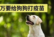 幼犬育苗时间表及注意事项（养狗初学者必读，如何正确为幼犬进行育苗？）