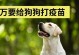 幼犬育苗时间表及注意事项（养狗初学者必读，如何正确为幼犬进行育苗？）