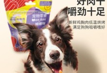 以自做泰迪小狗零食为主题的文章（满足泰迪小狗味蕾的美味自制零食）