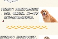 新手养狗宝典（为新手养狗提供的全面指南，帮助你选择最适合自己的宠物伴侣）