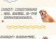 新手养狗宝典（为新手养狗提供的全面指南，帮助你选择最适合自己的宠物伴侣）