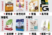 家养小猫的饮食指南（如何科学合理地喂养家养小猫，让它们健康快乐成长）