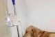 大金毛不能吃的水果大揭秘（保护宠物健康，远离这些水果！）