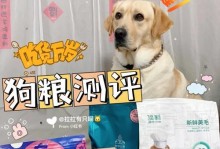 拉拉适合吃什么样的狗粮？（了解拉拉狗粮选择的关键因素和注意事项）