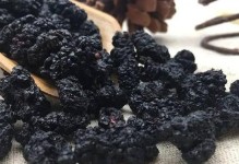 大便黑色的原因及处理方法（了解黑色大便的病因与预防措施）