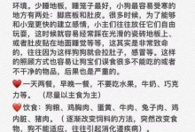 养泰迪宝宝的注意事项（关爱泰迪宝宝的健康成长）