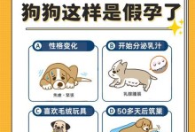 狗狗夹板（保护和纠正狗狗姿势的最佳工具）