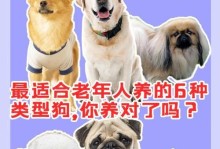 养哪种狗狗开销最大？（探讨8种不一般的狗狗品种及其养育费用）