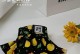 狗月经的生理变化与特征（探秘狗狗的生理周期，了解月经现象）
