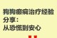 狗狗抽搐可能患上癫痫？如何判断与处理（狗狗突然抽搐，主人需警惕是否患上癫痫）