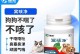 探讨猫咳嗽、打喷嚏和流鼻涕的药物治疗（猫咳嗽、打喷嚏和流鼻涕的原因与应对方法）