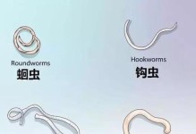 猫绦虫的治疗方法详解（三种常用的驱虫方法及其要点）