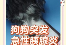 探究狗胰腺炎的疼痛症状及其特征（狗胰腺炎的常见症状及其早期识别）