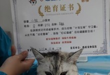 猫绝育的恢复期（探究猫咪绝育手术后的康复过程及时间节点）