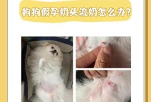 公狗“拆蛋”后的明显变化（揭秘公狗“拆蛋”后的身心变化，）