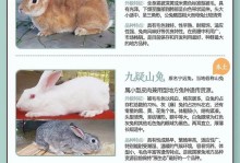 以家养的兔子，了解主要品种及特点（探索兔子品种的多样性与适应性）
