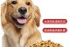 干狗粮合适的喂养年龄（狗狗成长期要注意什么，多大的小狗可以吃干狗粮？）
