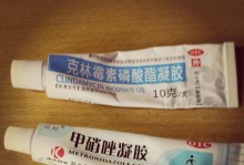 狗自己流产了该吃什么药？（保护宠物狗健康的关键）