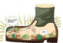 猫咪脚臭的常见原因及解决方法