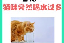 揭秘猫咪突然叫的原因（探寻背后的心理和行为因素）