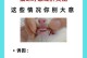 猫咪牙齿清洁的重要性（了解猫咪牙齿清洁的常见问题和解决方案）