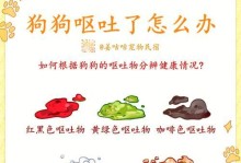 宠物狗生产期间的水果饮食搭配（为你的母狗选择健康的水果饮食）