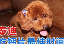 泰迪犬出生后多久能开始吃食？（探究泰迪犬出生后何时可以开始摄入固体食物）