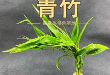 以鱼缸养水草，打造宜人水草世界（选择合适鱼类，营造和谐鱼缸生态环境）