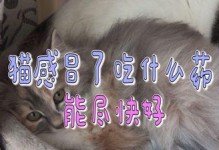 英短猫感冒吃什么药？（药物治疗英短猫感冒的有效方法）