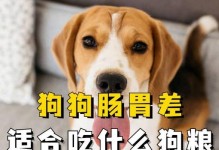 心脏病狗的饮食管理（以什么狗粮为主食最适合心脏病狗）