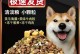 狗的食谱（探索狗狗饮食世界，发现狗狗的美味佳肴）