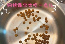 夏日狗狗食谱，清凉美味有何不可？（以天热给狗狗吃什么好）