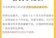 狗狗保健指南（狗狗饮食健康、）